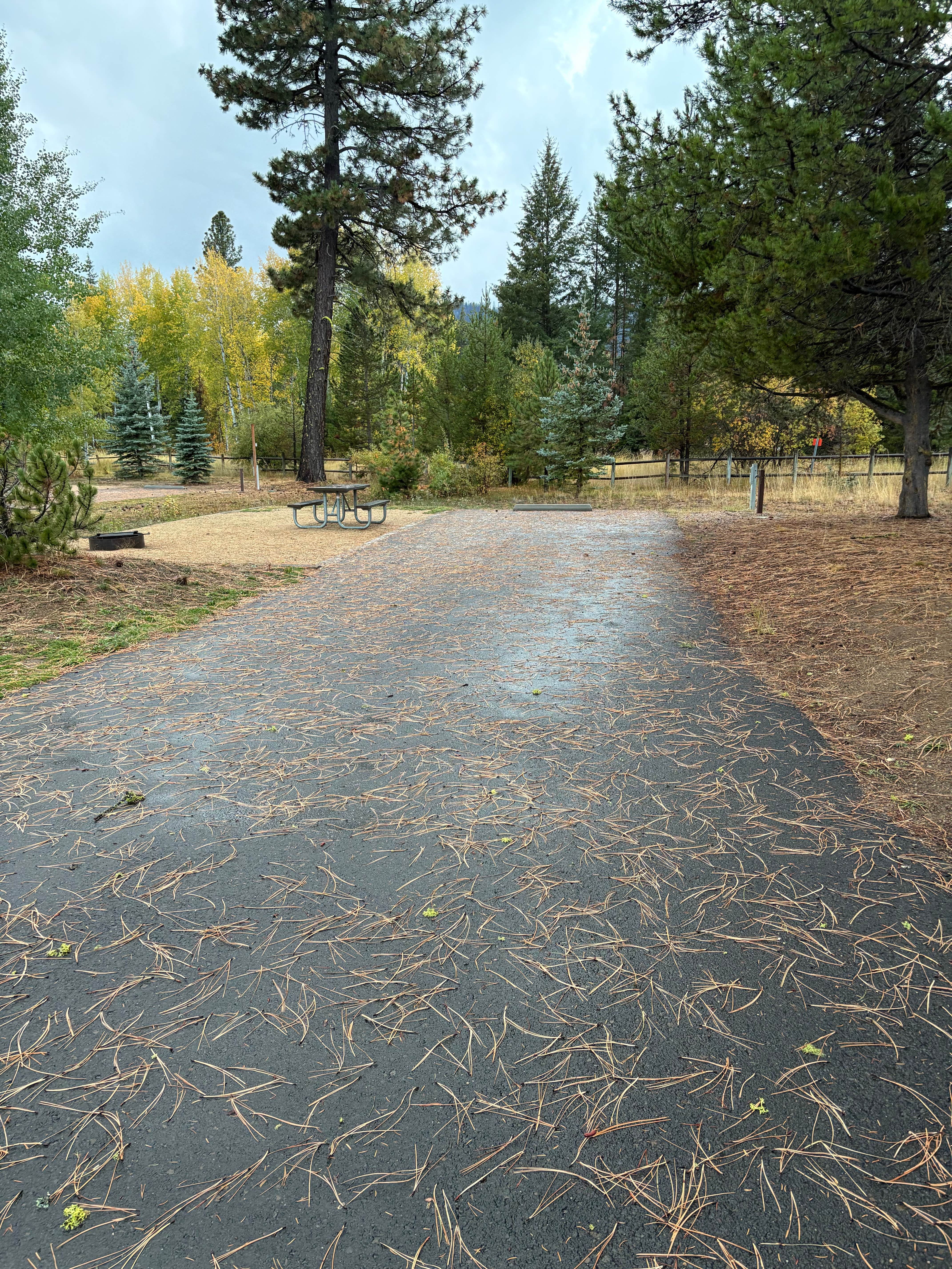 Camper submitted image from Poison Creek Campground — Lake Cascade State Park - 5