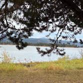 Review photo of Poison Creek Campground — Lake Cascade State Park by Denise F., October 1, 2025