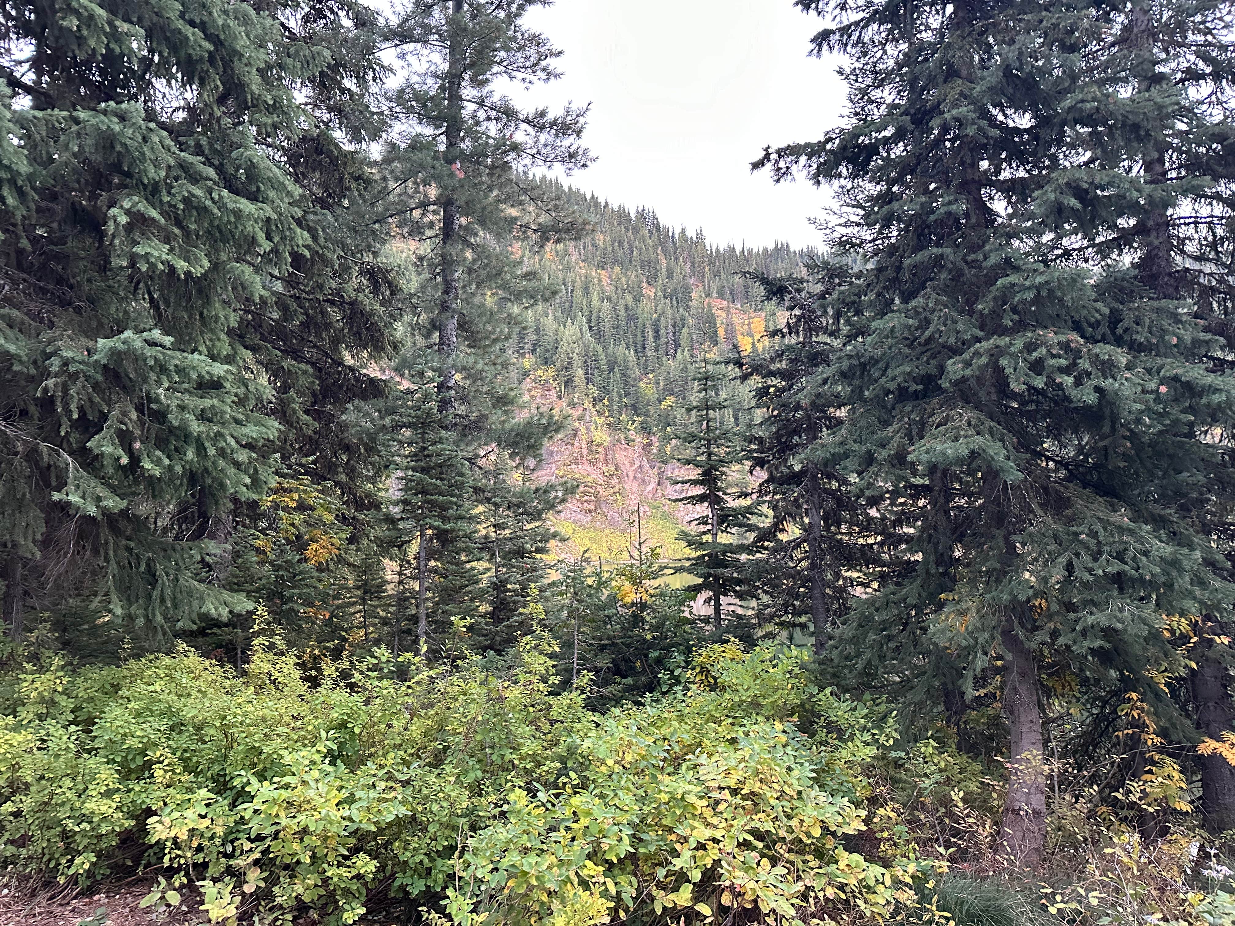 Camper-submitted photo at Lake Elsie Campground near Wallace, ID