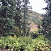 Review photo of Lake Elsie Campground by Samuel H., October 4, 2024