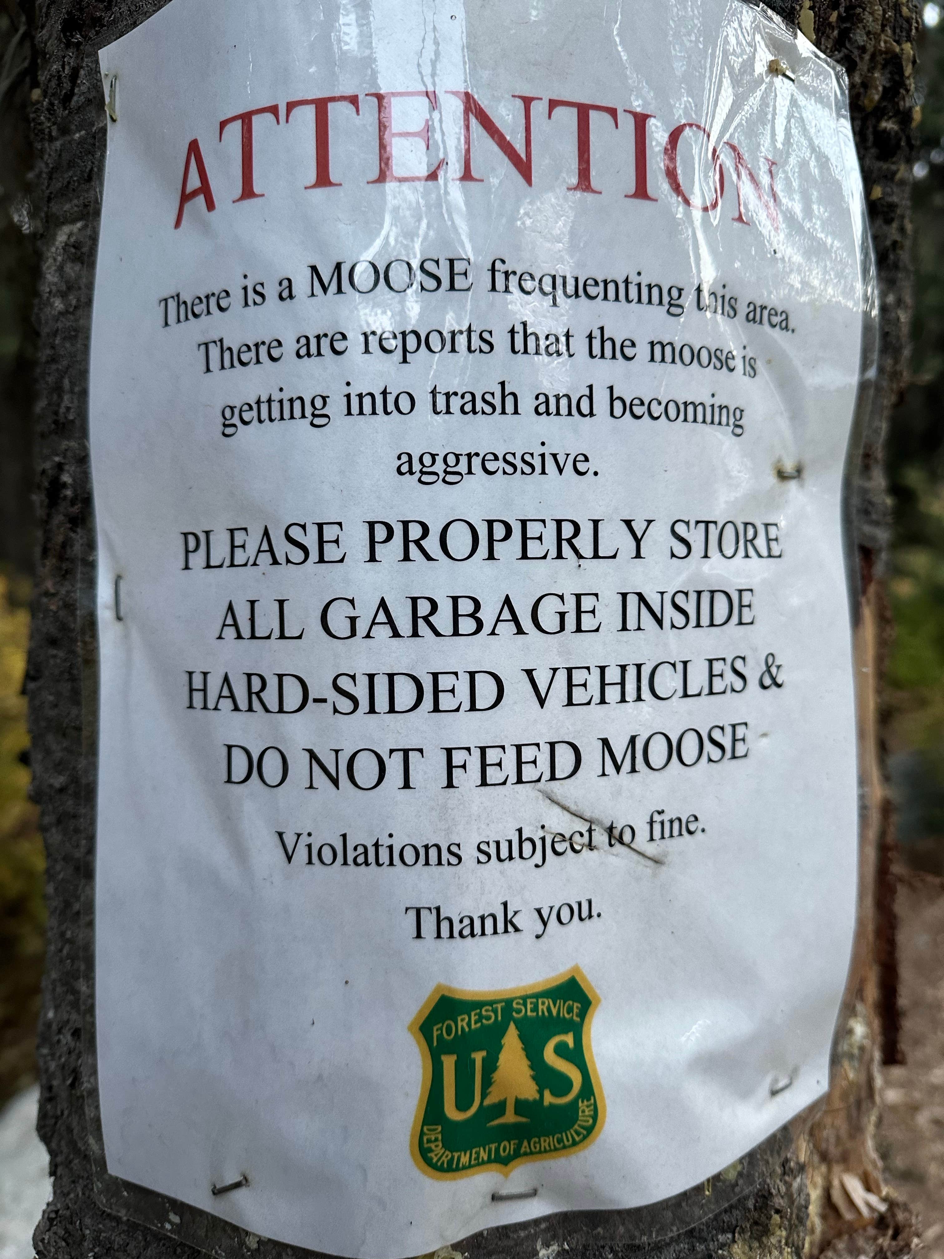 Camper-submitted photo at Lake Elsie Campground near Wallace, ID