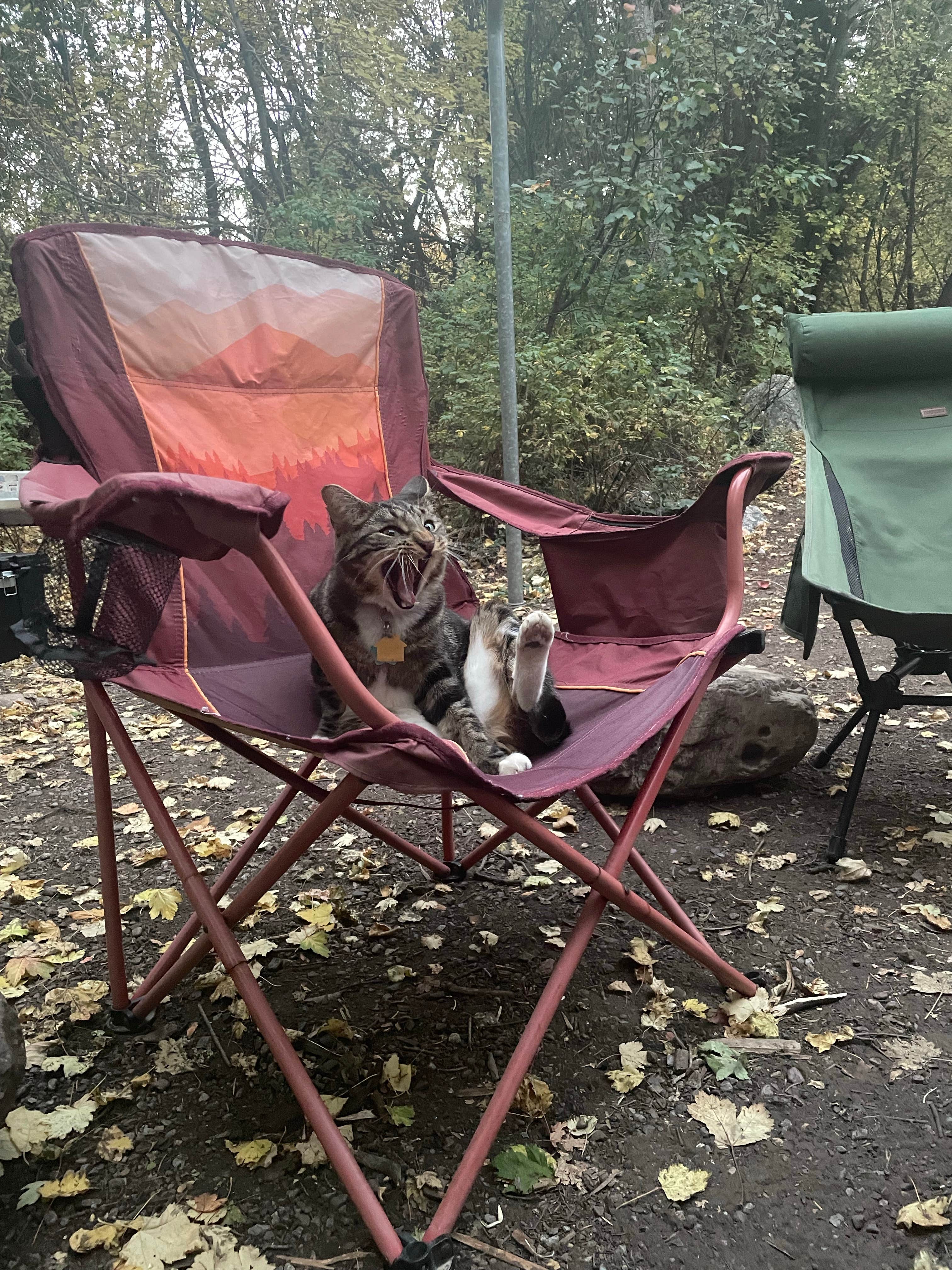 dallas H.'s photo of camping with pets at Malad Summit Campground near Malad City, ID