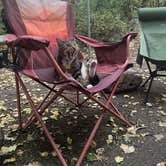 Review photo of Malad Summit Campground by dallas H., October 2, 2024