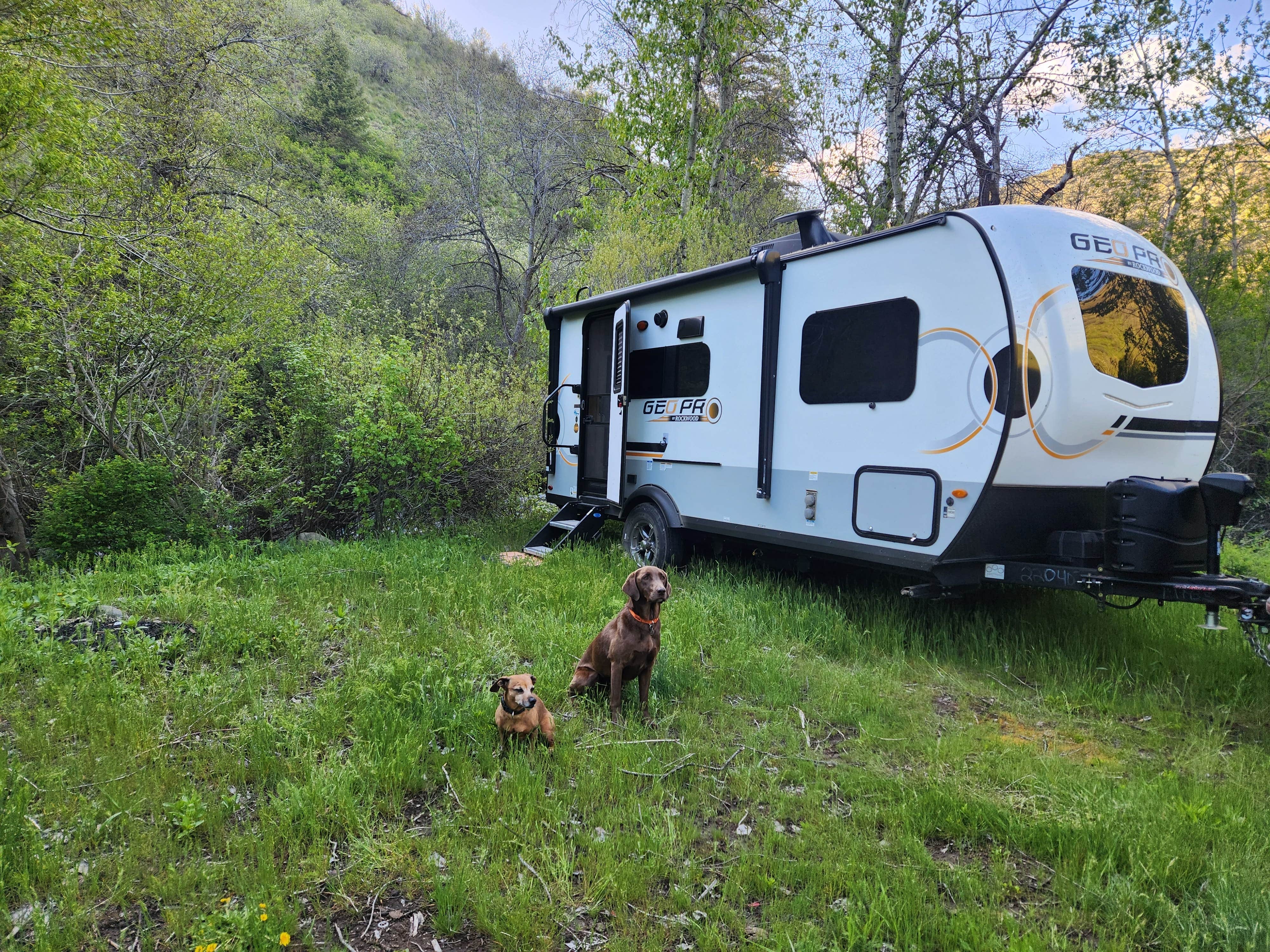 Traci B.'s photo of camping with pets at Mann Creek Recreation Area near Ontario, OR