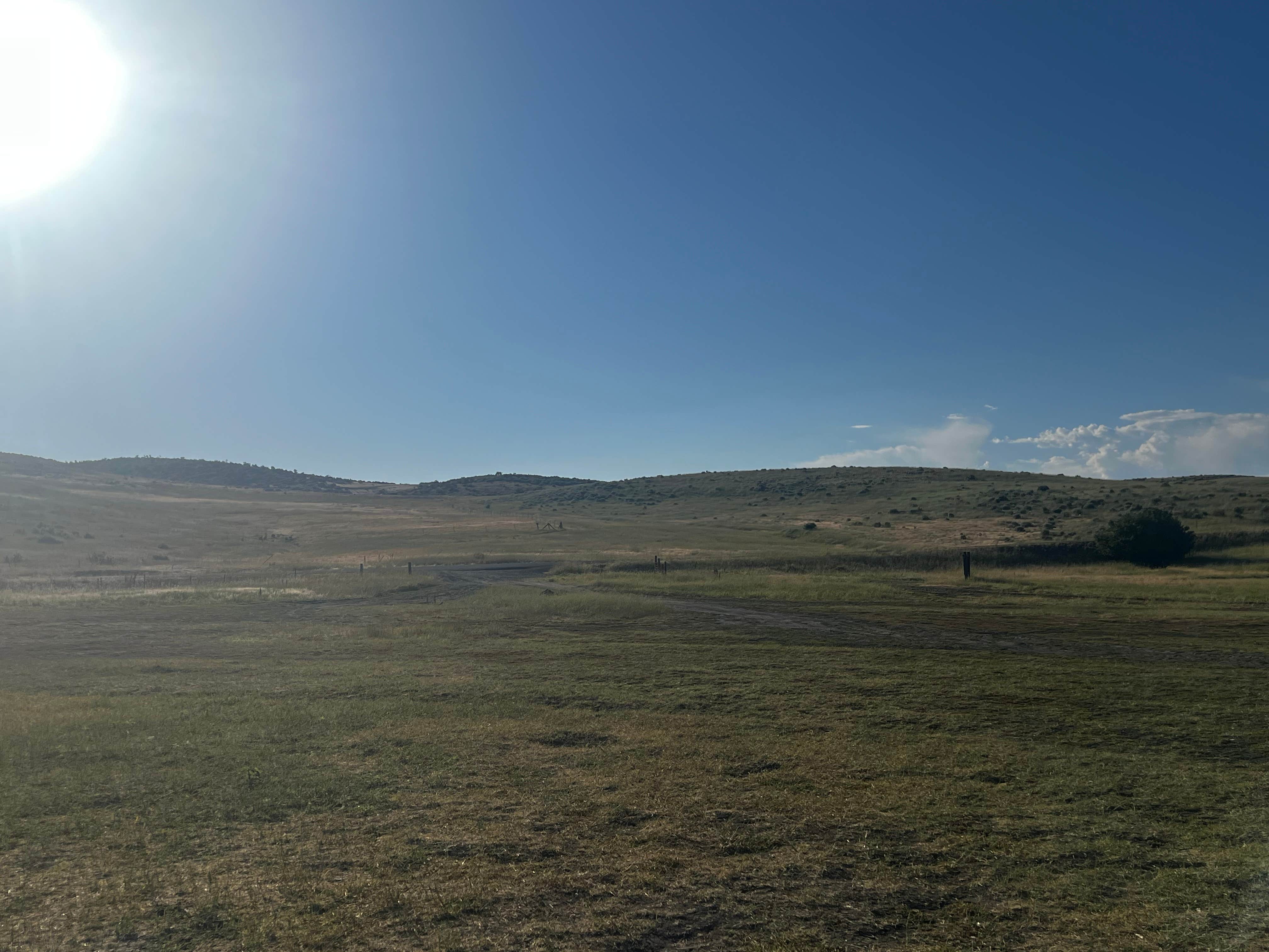 Karson M.'s photo of a dispersed camping area at Mann Creek Recreation Area near Banks, ID