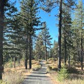 Review photo of Iron Mountain Campground — Mary Minerva McCroskey State Park by Judy T., December 2, 2023