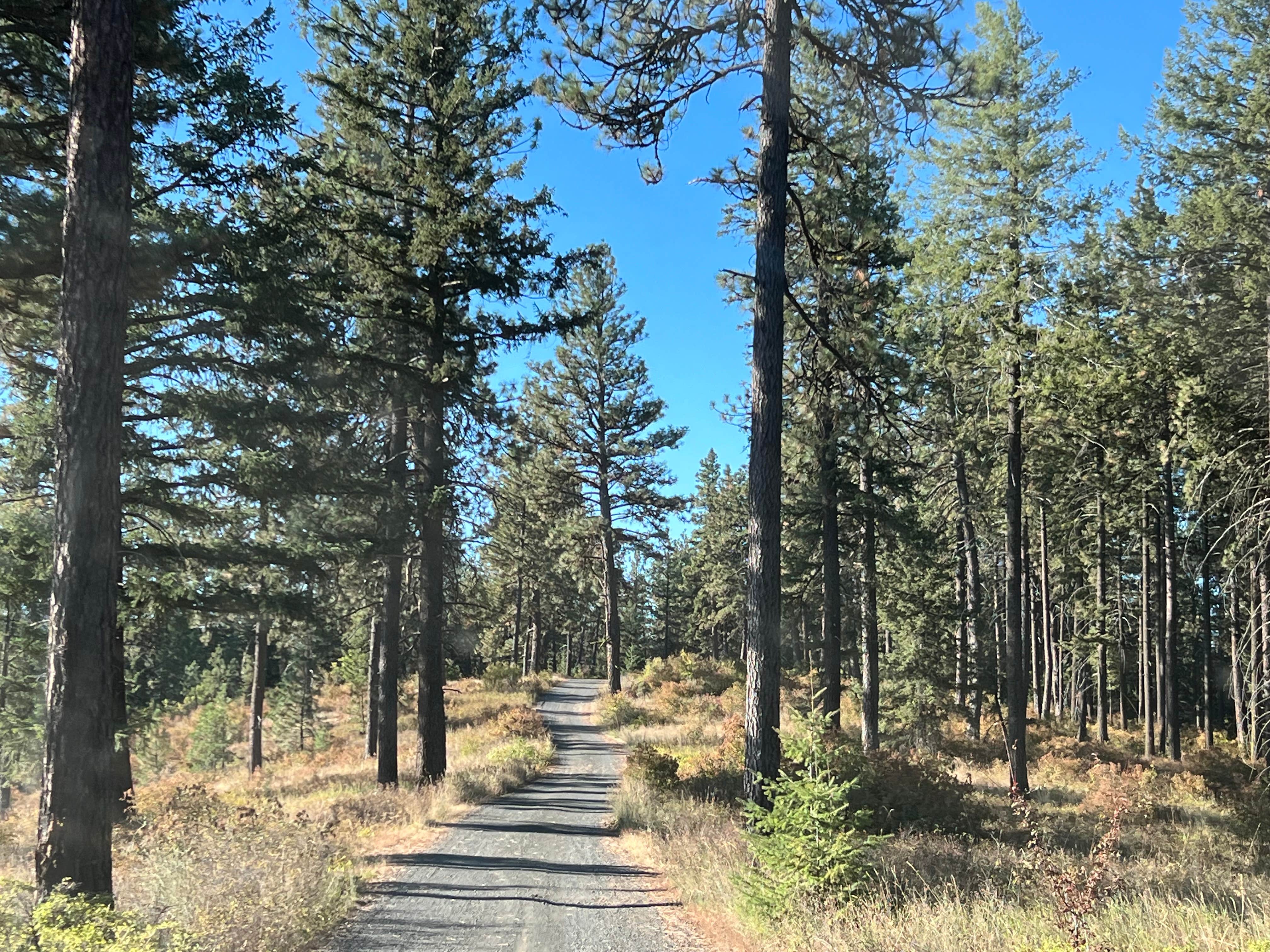 Camper submitted image from Iron Mountain Campground — Mary Minerva McCroskey State Park - 2