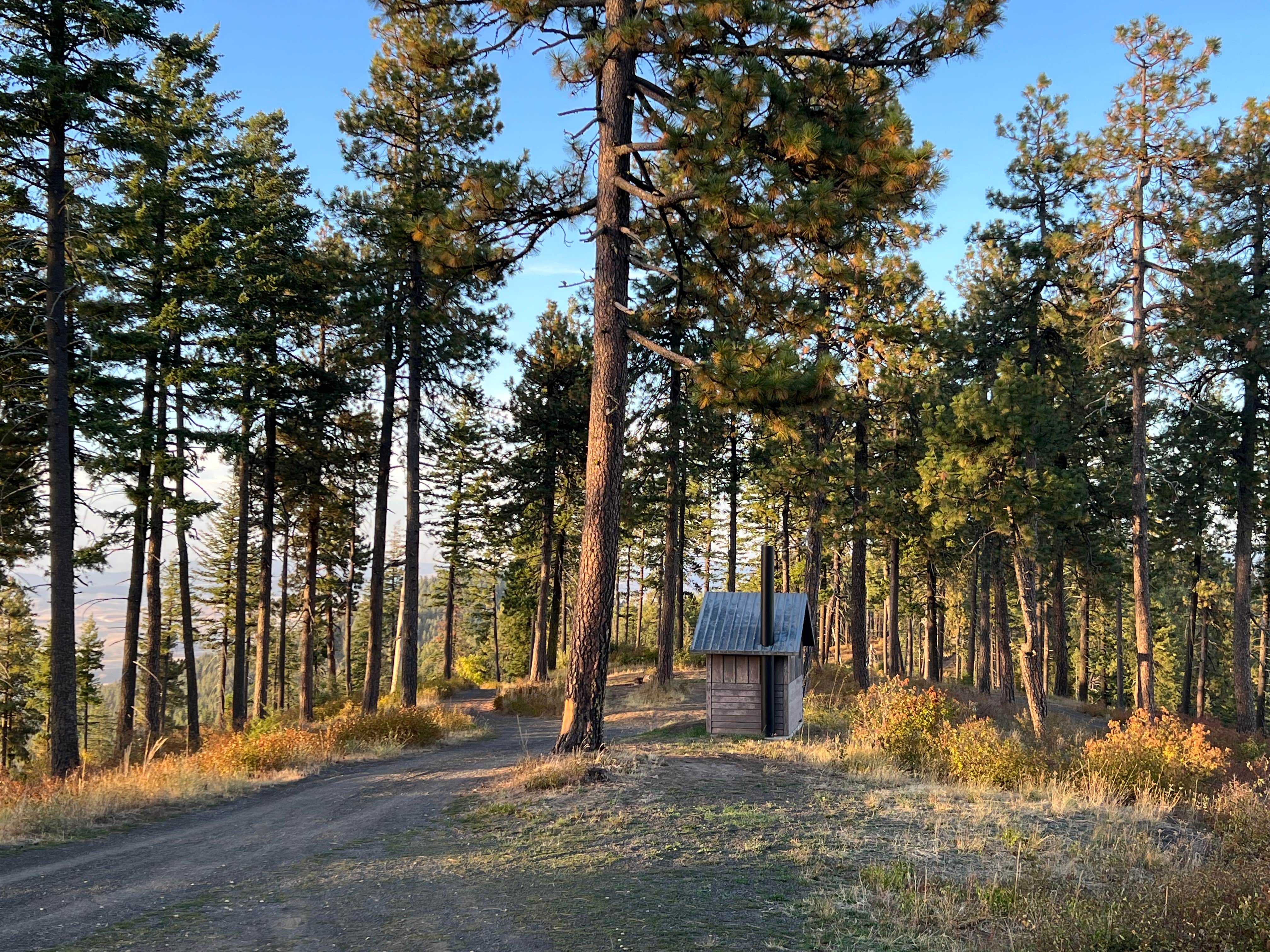 Camper-submitted photo at Iron Mountain Campground — Mary Minerva McCroskey State Park near Steptoe, WA