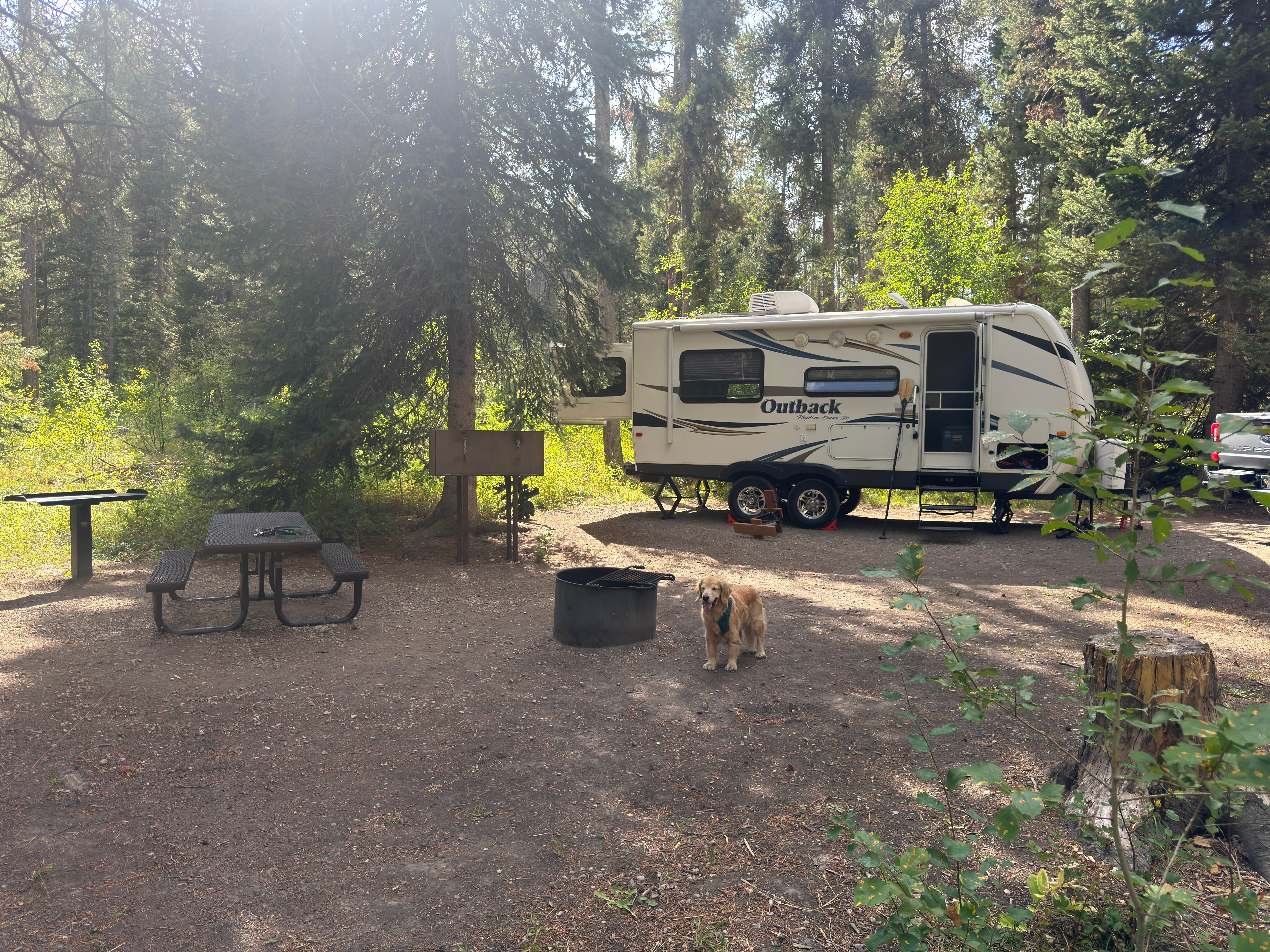 Chad H.'s photo of camping with pets at Mike Harris near Tetonia, ID