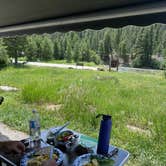 Review photo of Mormon Bend Campground by Wendy W., July 15, 2026