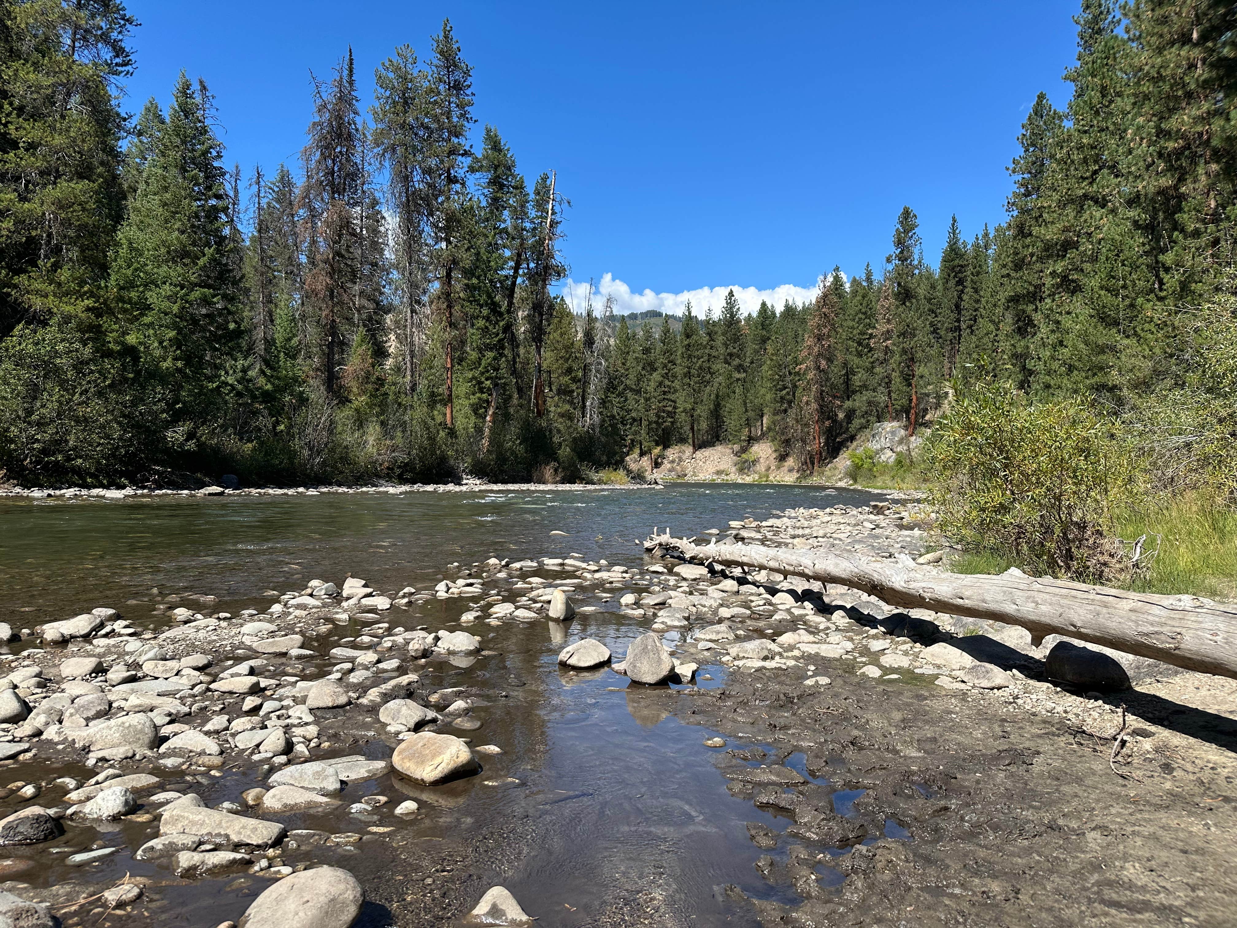 Camper-submitted photo at Mountain View near Garden Valley, ID