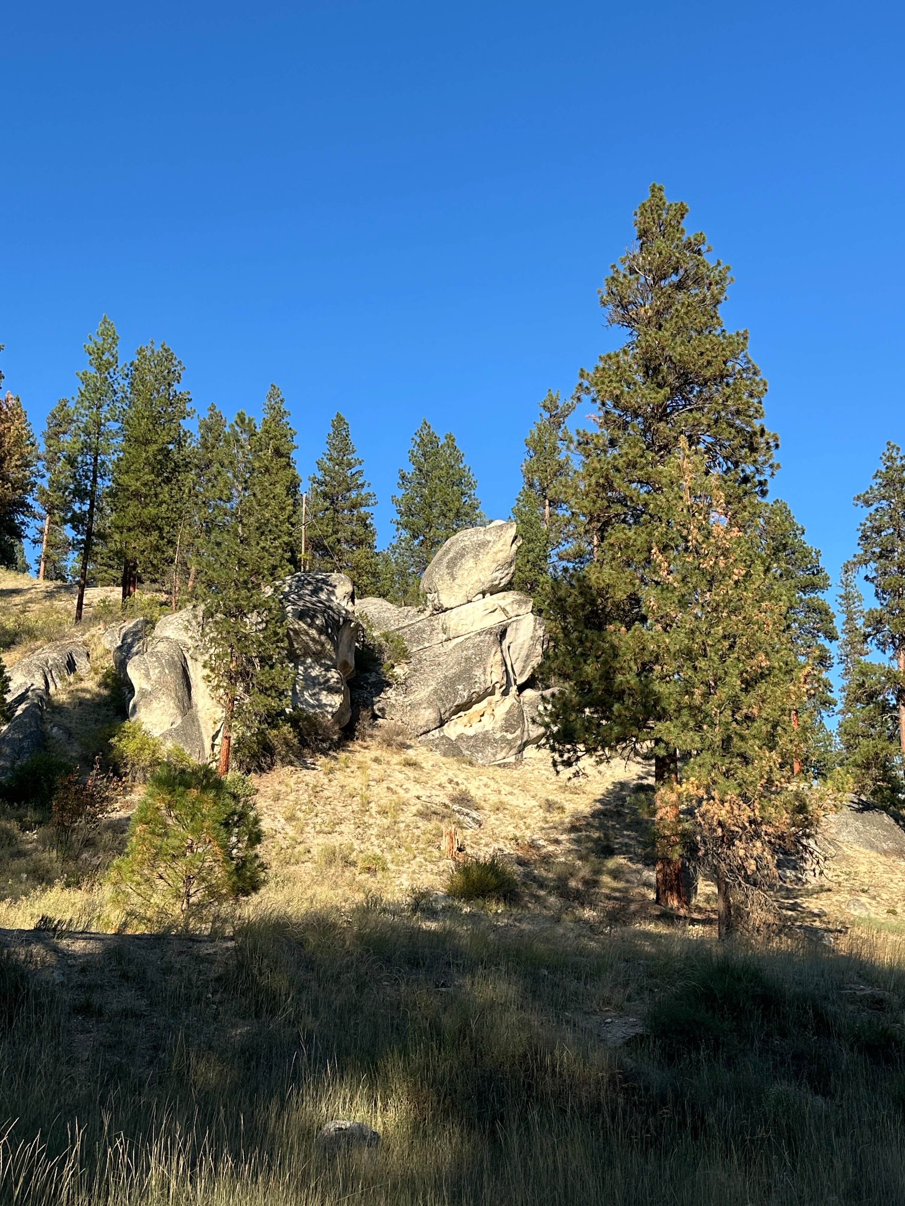 Camper-submitted photo at Mountain View near Garden Valley, ID