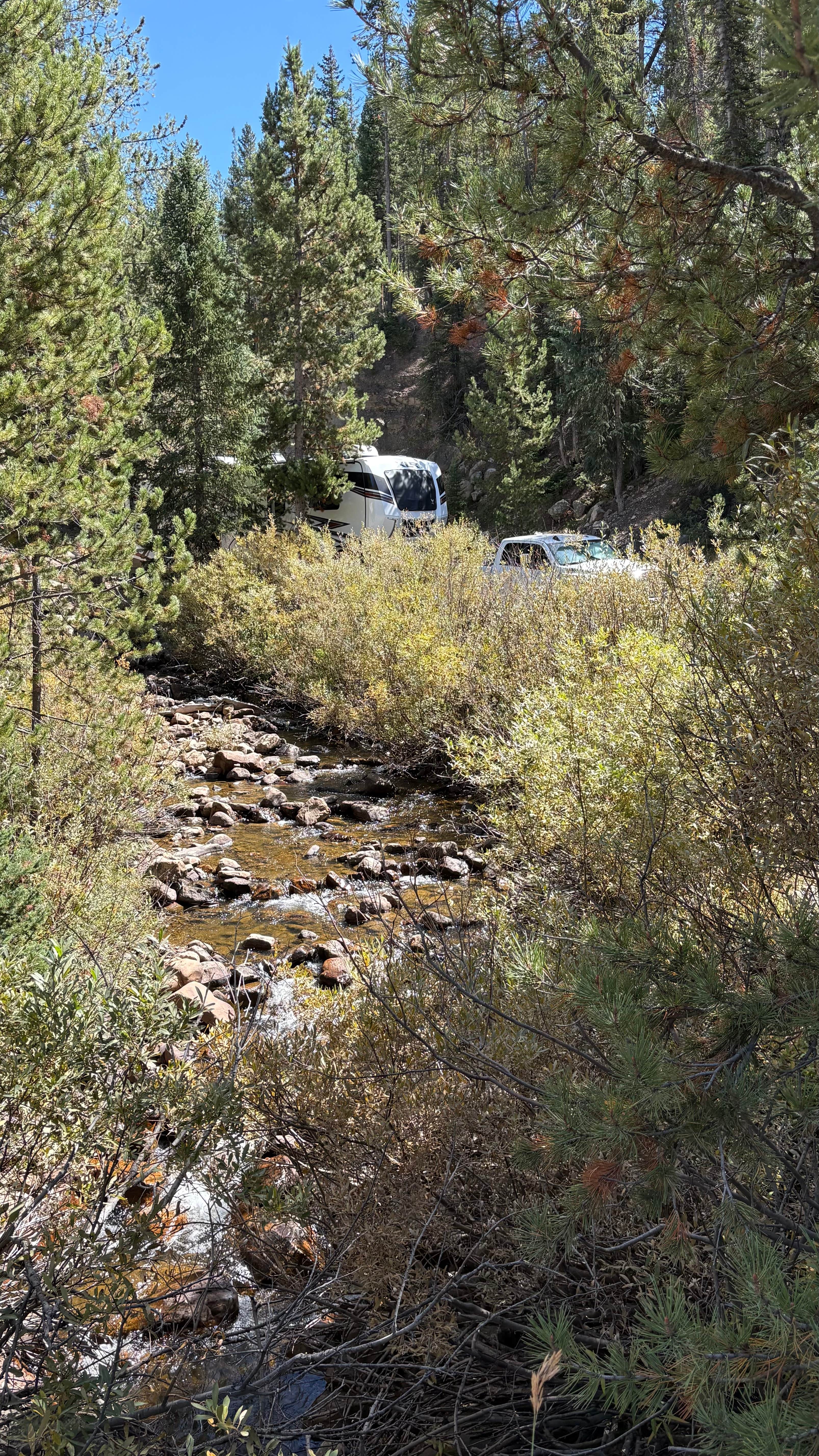 Camper-submitted photo at Murdock Creek Dispersed near Ketchum, ID