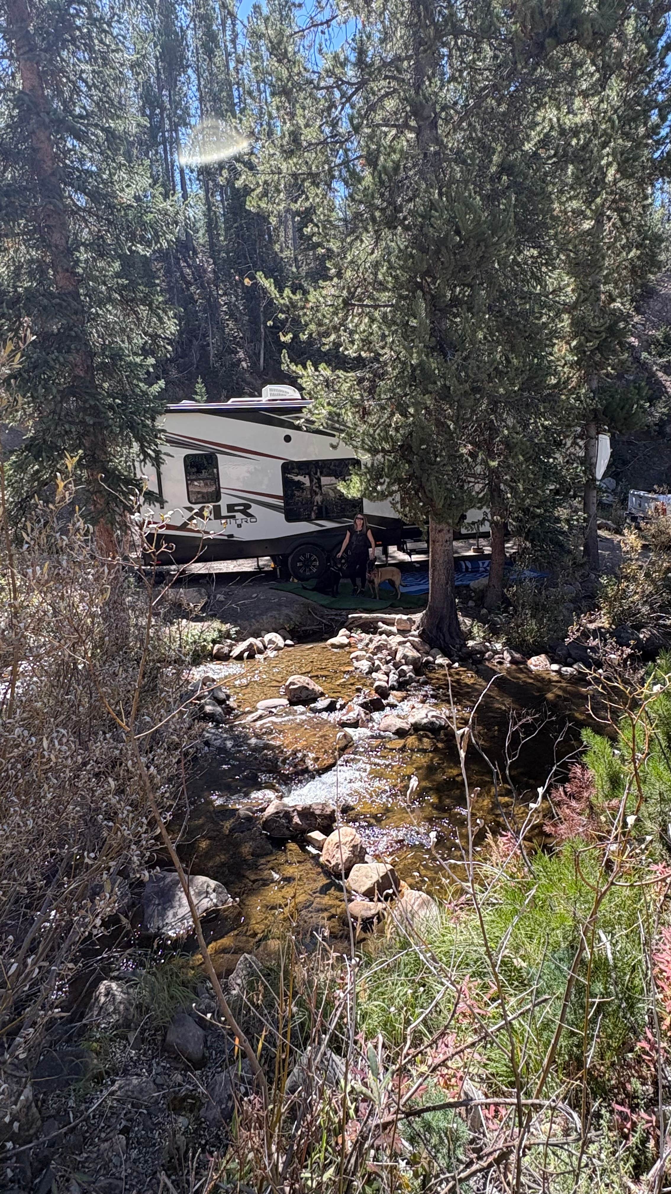 Camper-submitted photo at Murdock Creek Dispersed near Ketchum, ID