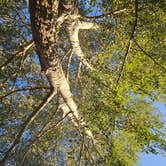Review photo of Murtaugh Lake Park Campground by Sarah J., August 21, 2025