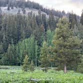 Review photo of North Shore Campground (Alturas) by Elena M., June 15, 2025