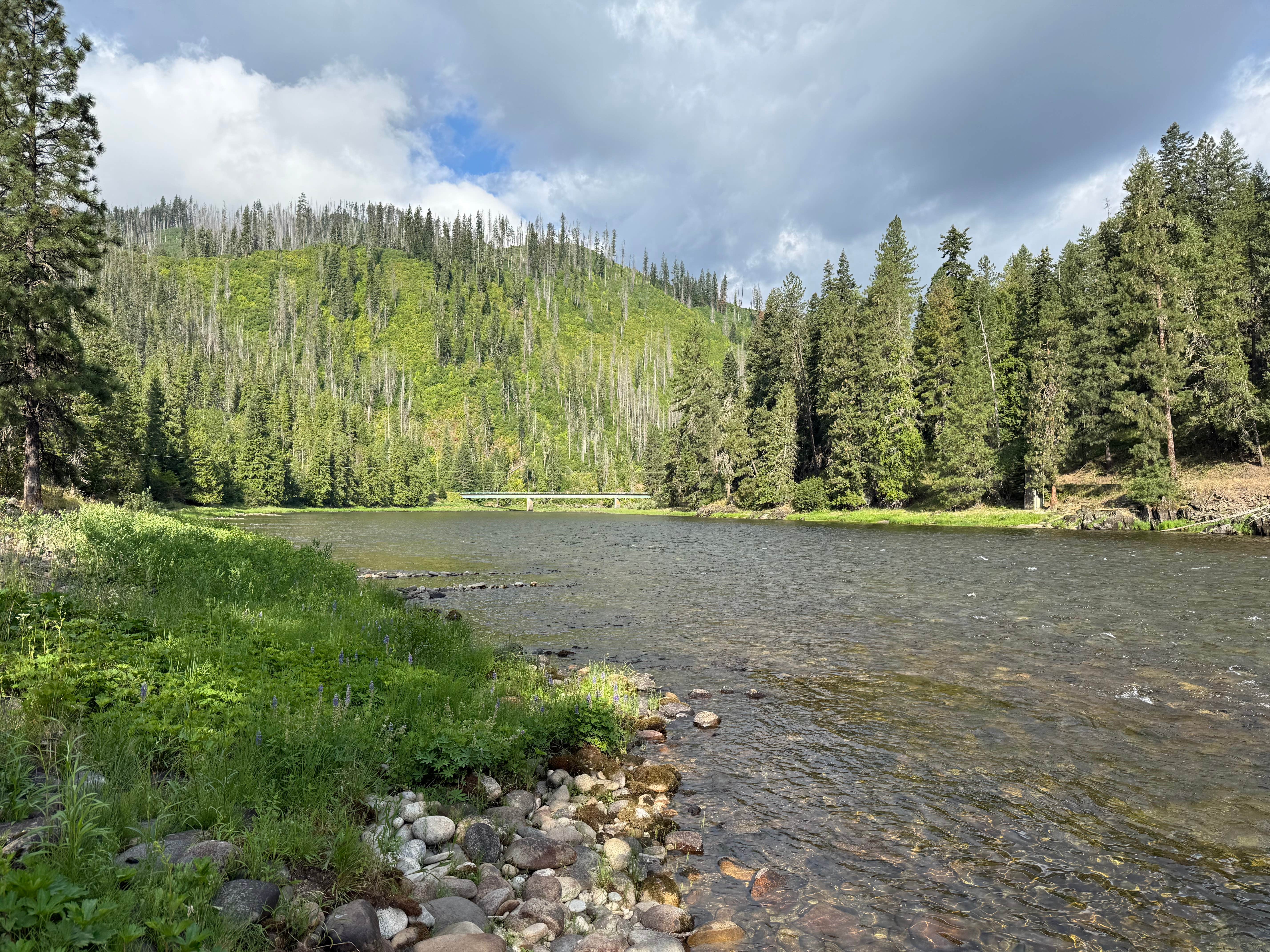 Camper-submitted photo at Ohara Bar Campground near Kooskia, ID