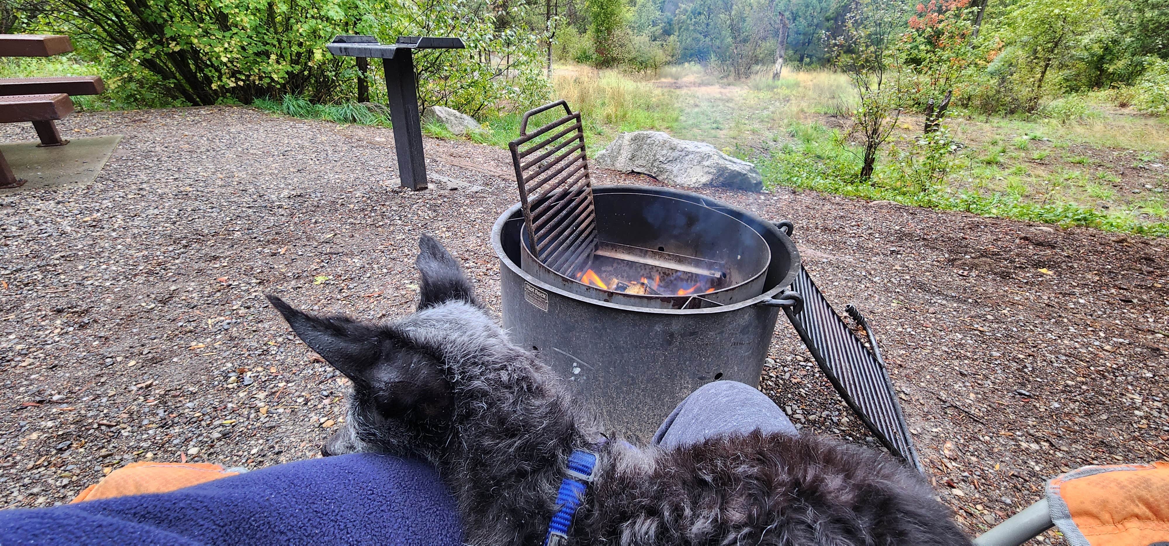 Camper-submitted photo at Palisades Creek Campground near Jackson, WY