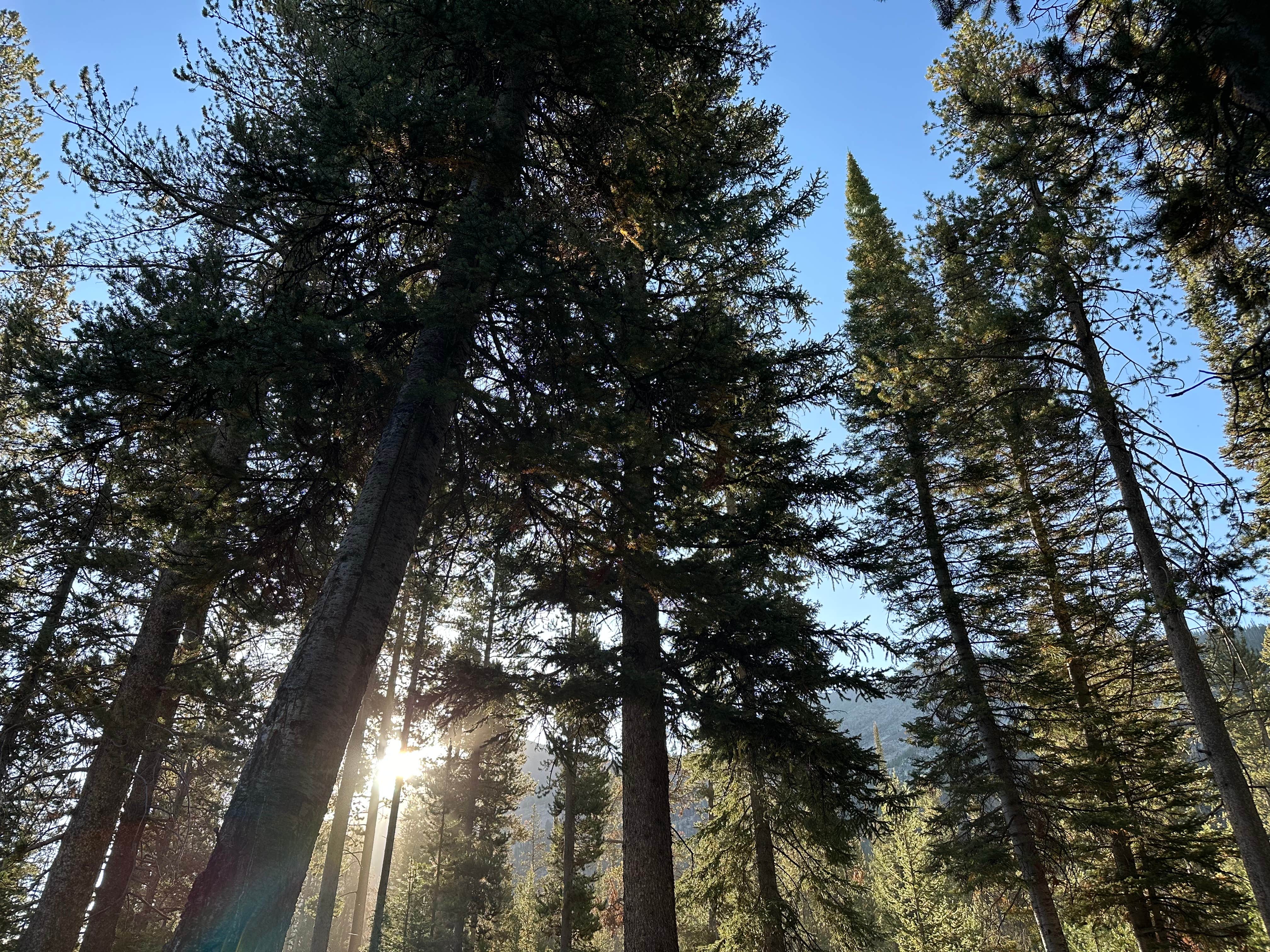 Camper-submitted photo at Park Creek Campground near Ketchum, ID