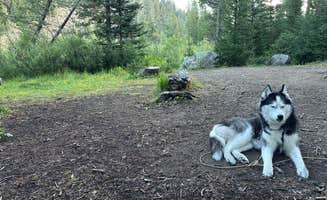Kaitlyn P.'s photo of camping with pets at Park Creek Campground near Mackay, ID
