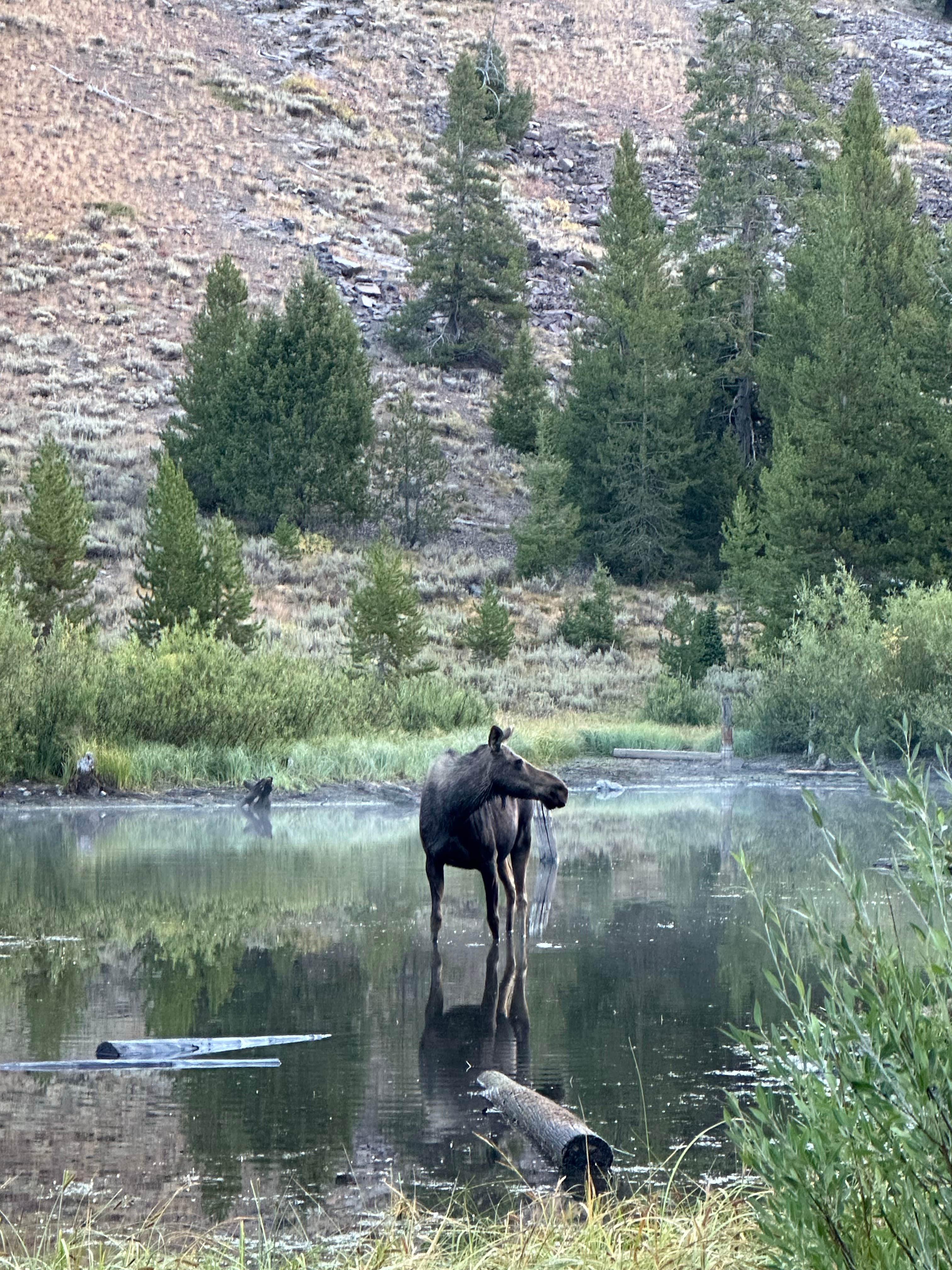 Camper-submitted photo at Park Creek Campground near Ketchum, ID