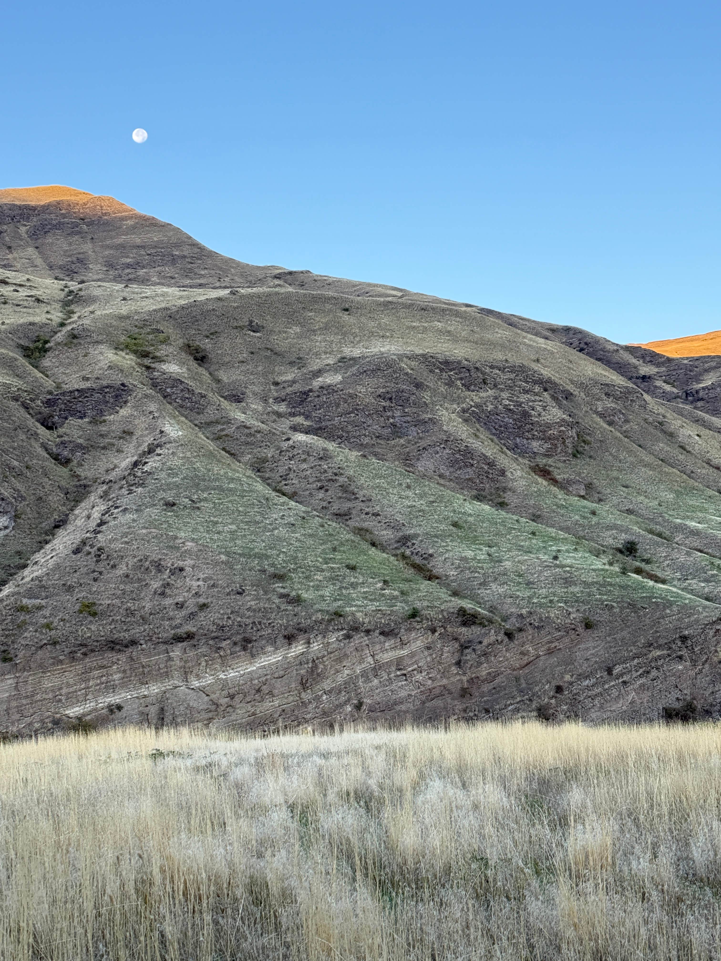 Camper-submitted photo at Pittsburg Campground near White Bird, ID
