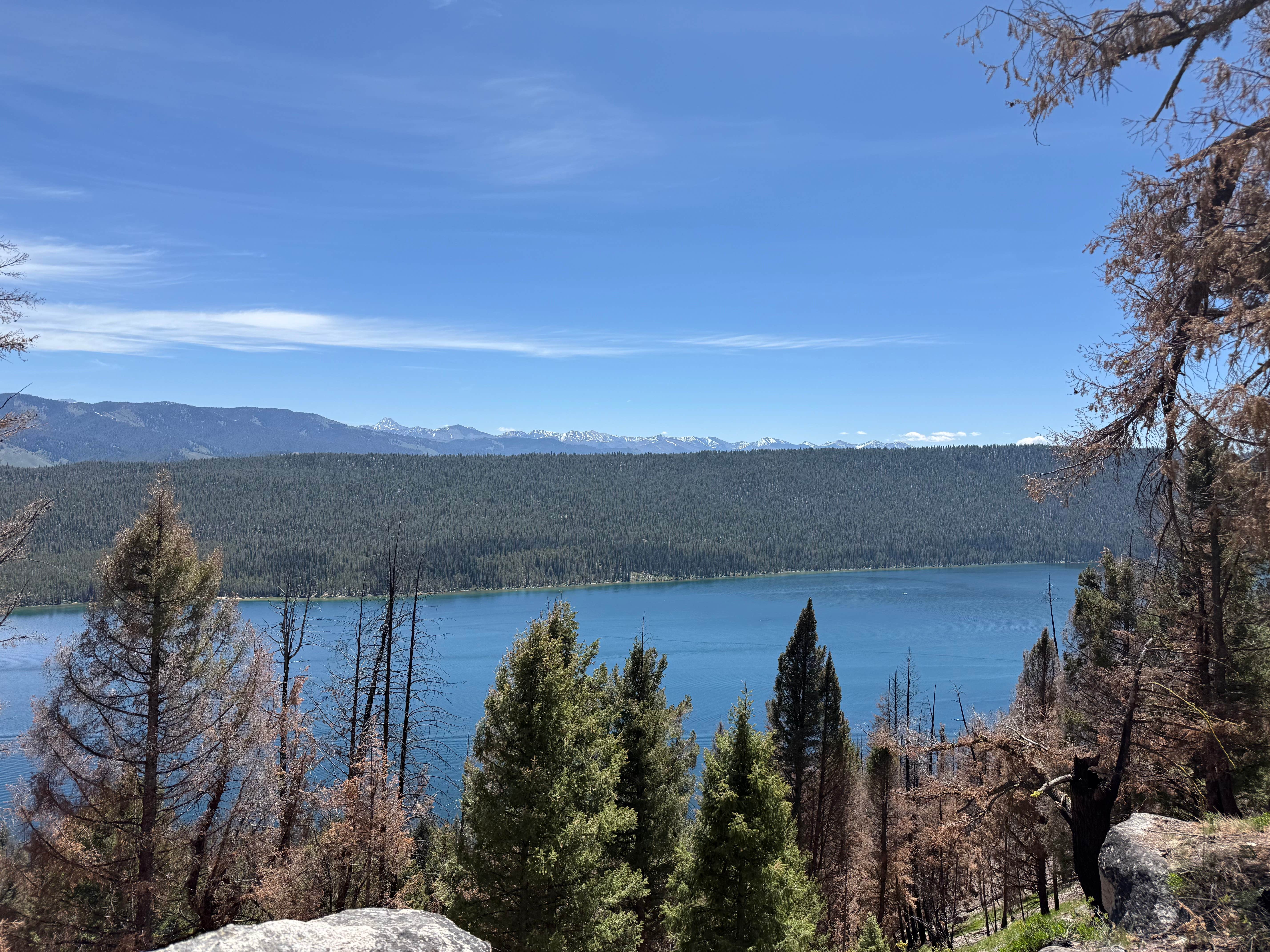 Camper-submitted photo at Point near Stanley, ID