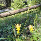 Review photo of Riley Creek Campground by Marcus H., July 31, 2026