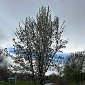Review photo of Rock Creek RV Park by Mike M., May 31, 2025