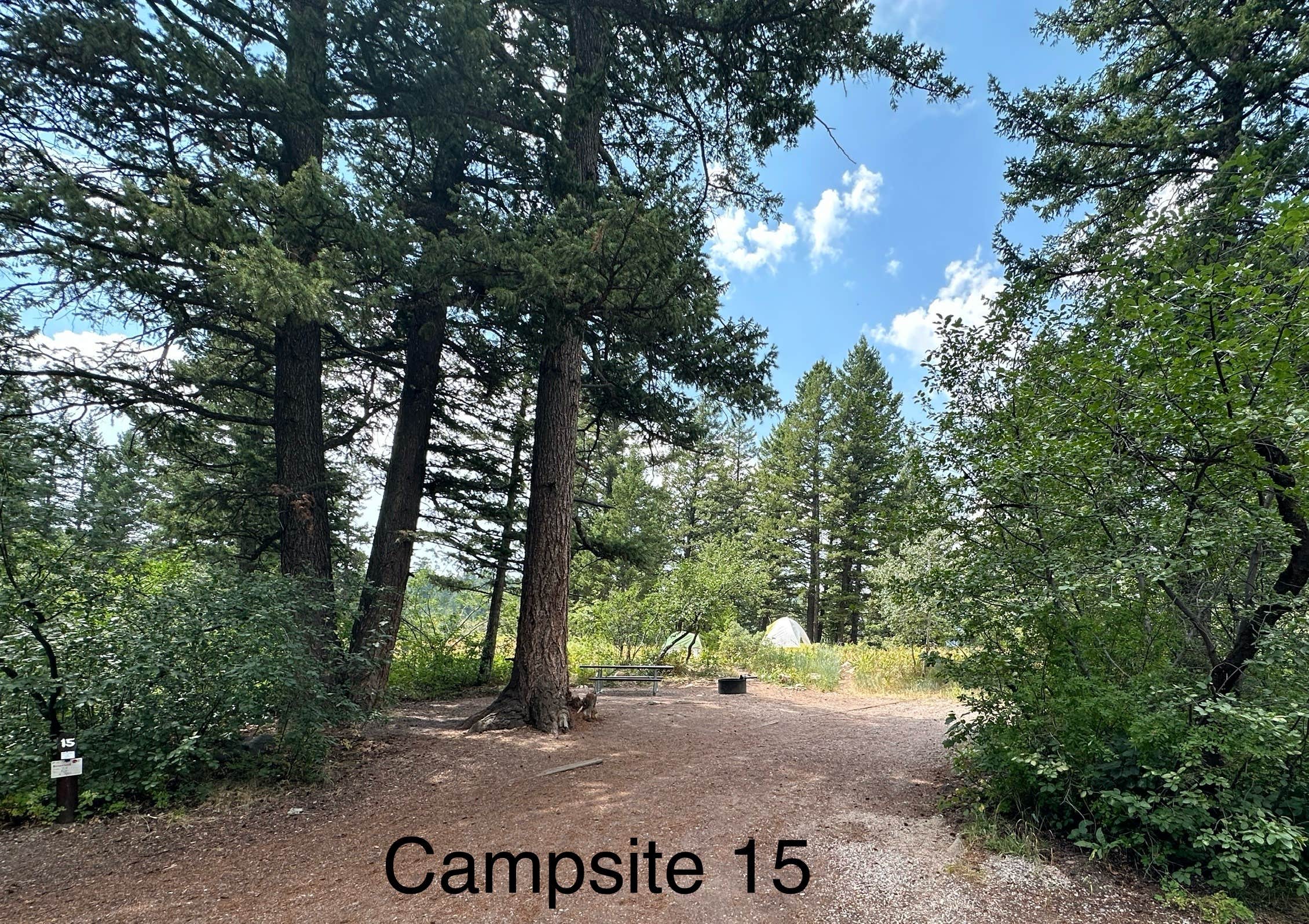 Anthony  B.'s photo of camping with pets at Scout Mountain Campground near Malad City, ID