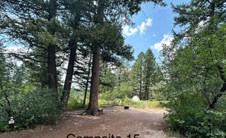 Anthony B.'s photo of camping with pets at Scout Mountain Campground near Inkom, ID