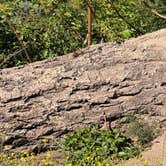 Review photo of Shafer Butte by Sam M., July 4, 2026