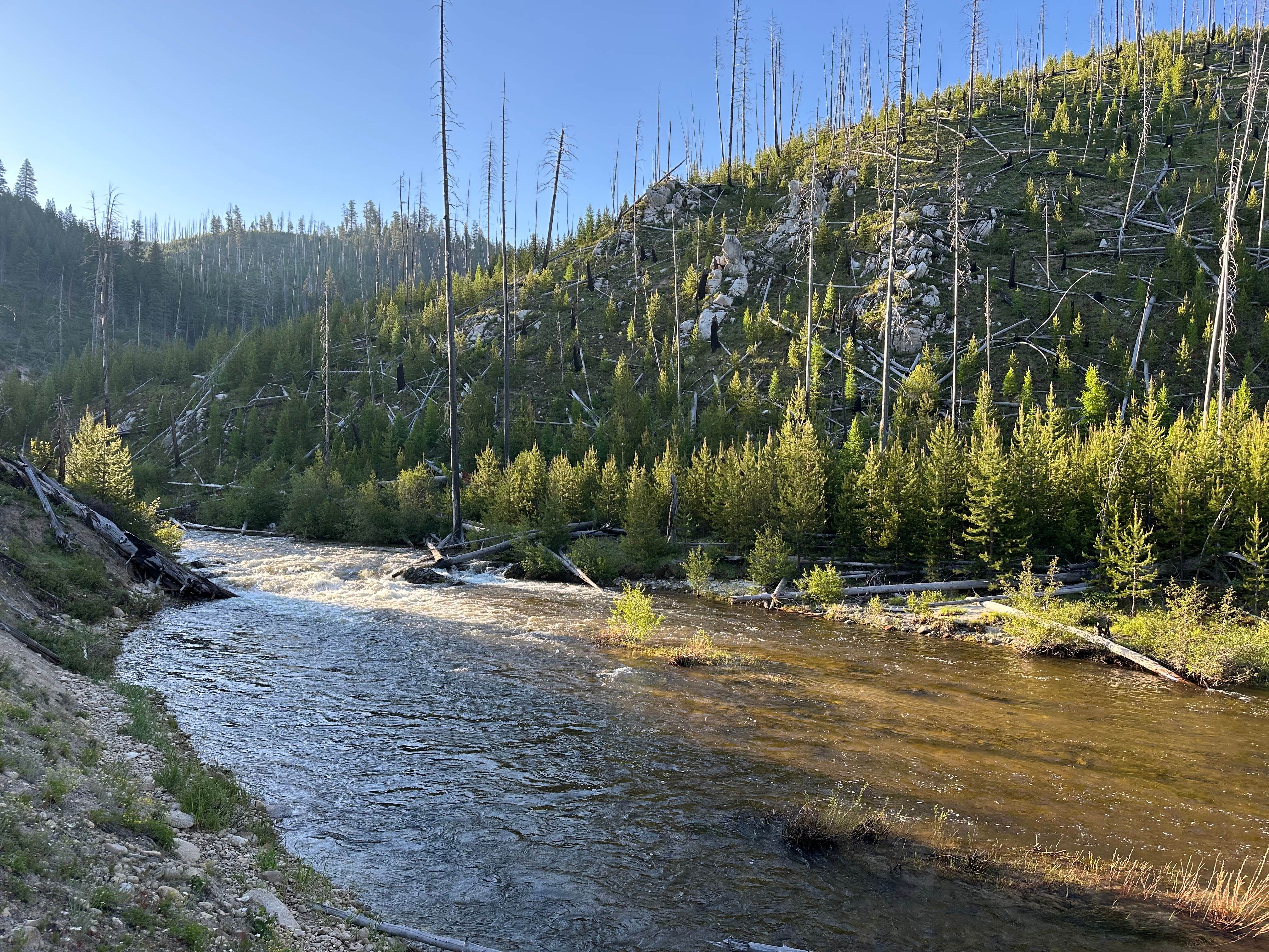 Camper submitted image from South Fork Salmon River - 1
