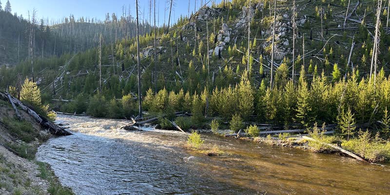 Camper submitted image from South Fork Salmon River