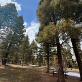 Review photo of Stoddard Creek Campground by @57overlander C., April 23, 2025