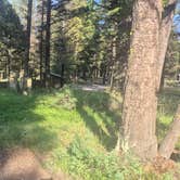 Review photo of Stoddard Creek Campground by Sheila , July 21, 2026