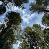 Review photo of Stoddard Creek Campground by @57overlander C., April 23, 2025
