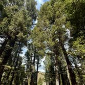 Review photo of Stoddard Creek Campground by @57overlander C., April 23, 2025