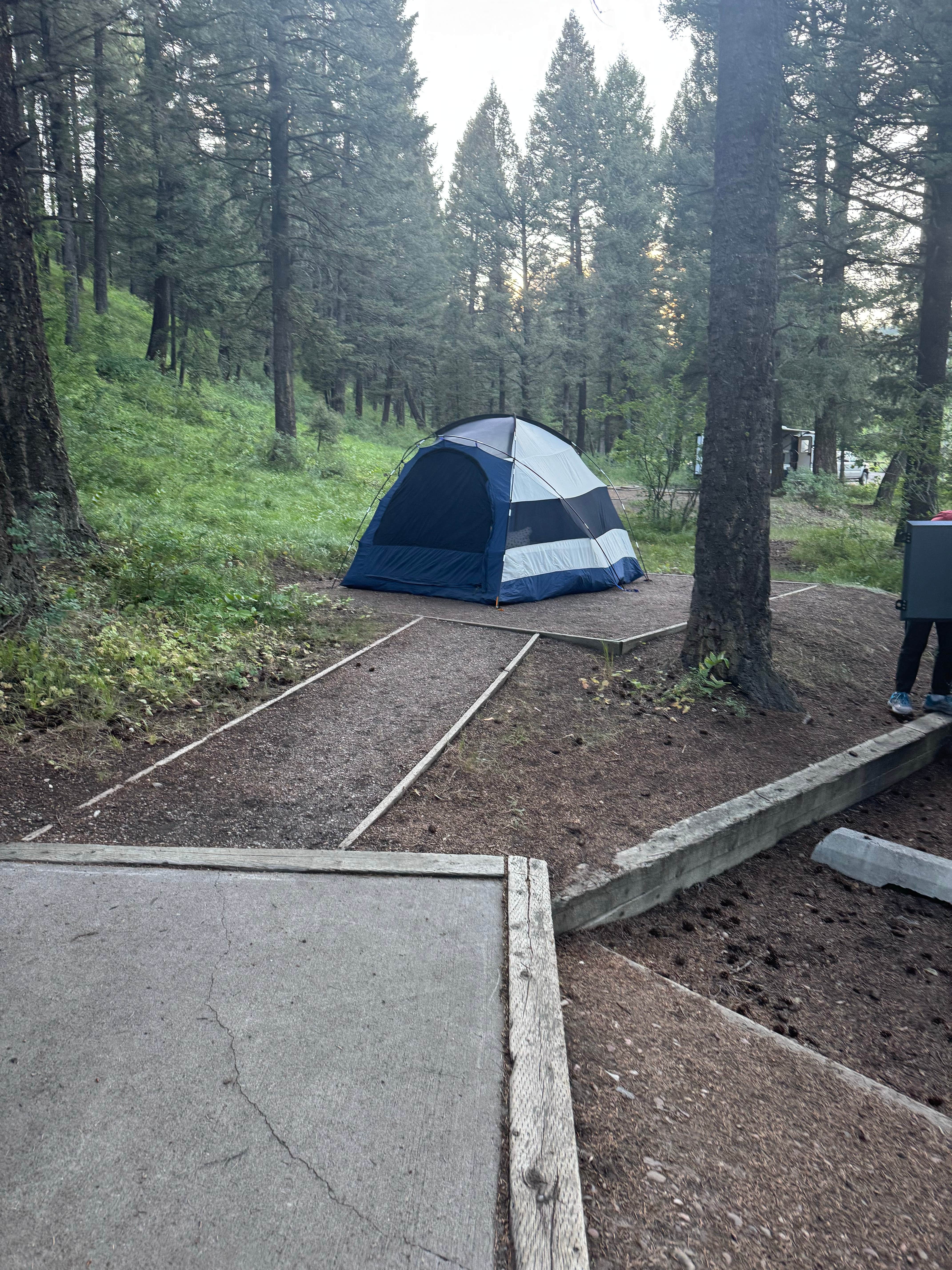 Andrew M.'s photo at Stoddard Creek Campground near Lima, MT