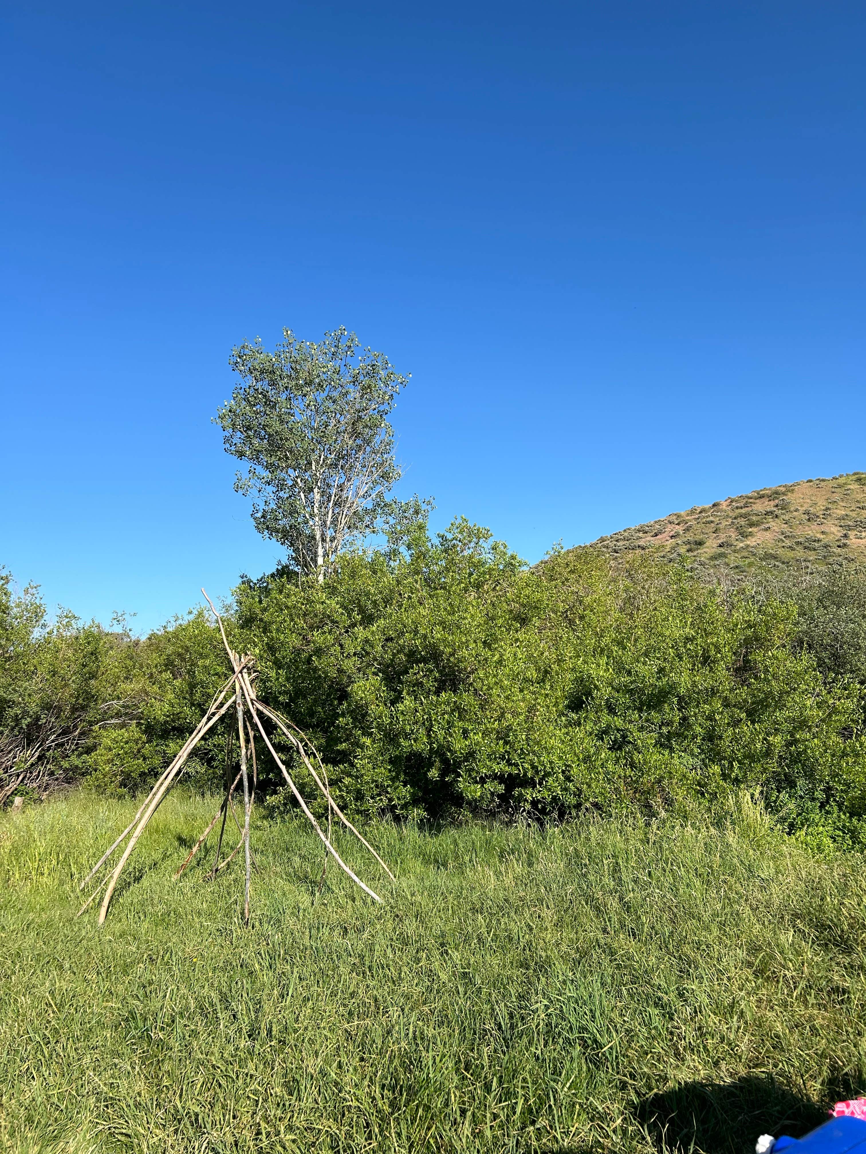 Camper-submitted photo at Sublett Campground near Park Valley, UT