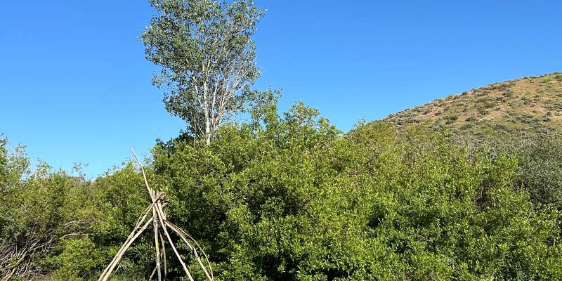 Camper submitted image from Sublett Campground