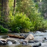 Review photo of Ten Mile Campground by Coq A., July 25, 2026