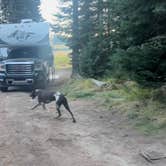 Review photo of Upper Payette Lake Dispersed Camping Area by Ronda D., October 8, 2024