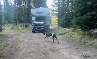 Ronda D.'s photo of camping with pets at Upper Payette Lake Dispersed Camping Area near New Meadows, ID