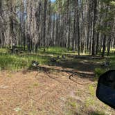 Review photo of West End Dispersed Camping by Linda M., August 7, 2026
