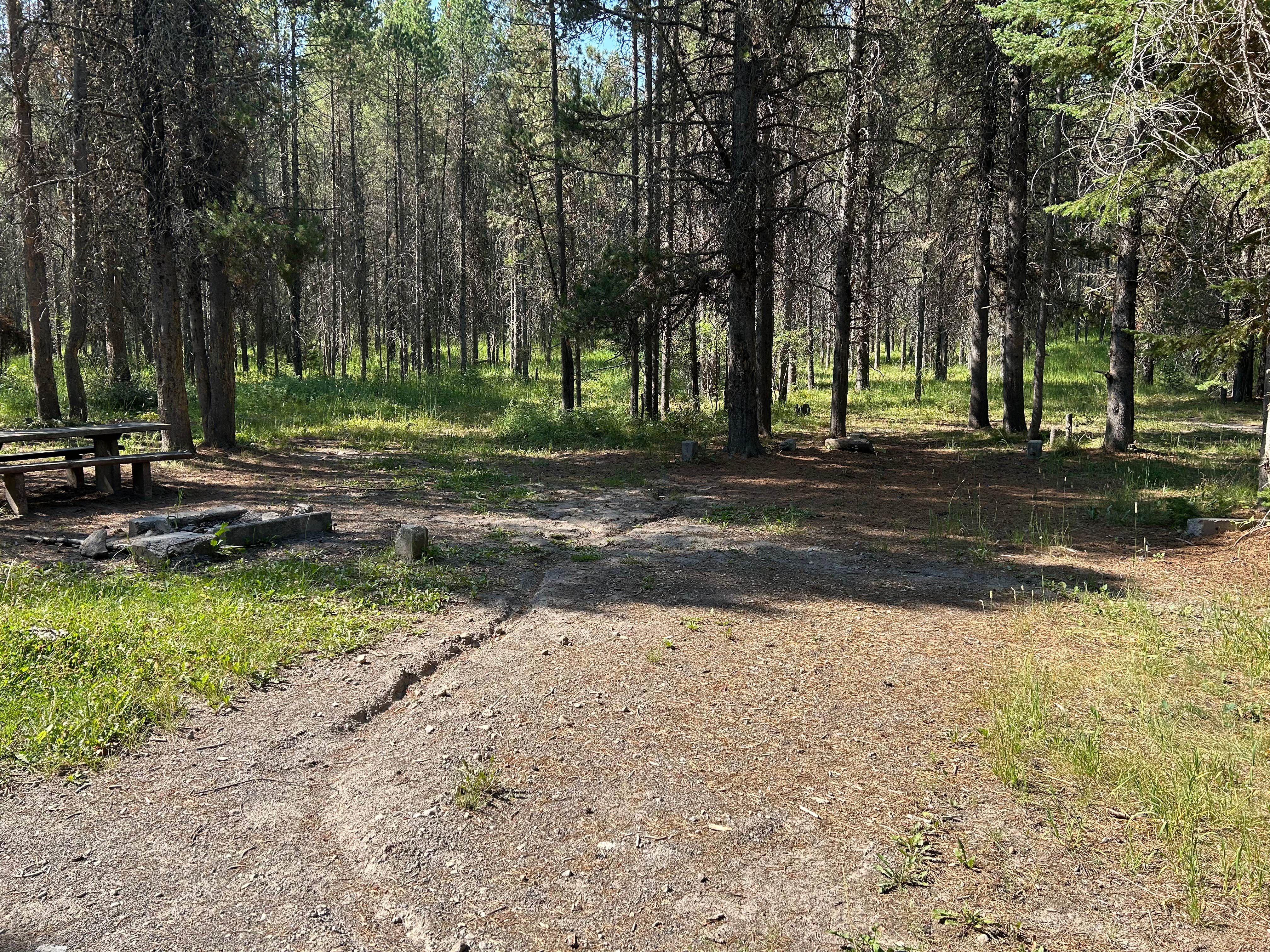 Camping near Stoddard Creek Dispersed Camping: West End Dispersed Camping, Island Park, Idaho