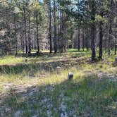 Review photo of West End Dispersed Camping by Linda M., August 7, 2026
