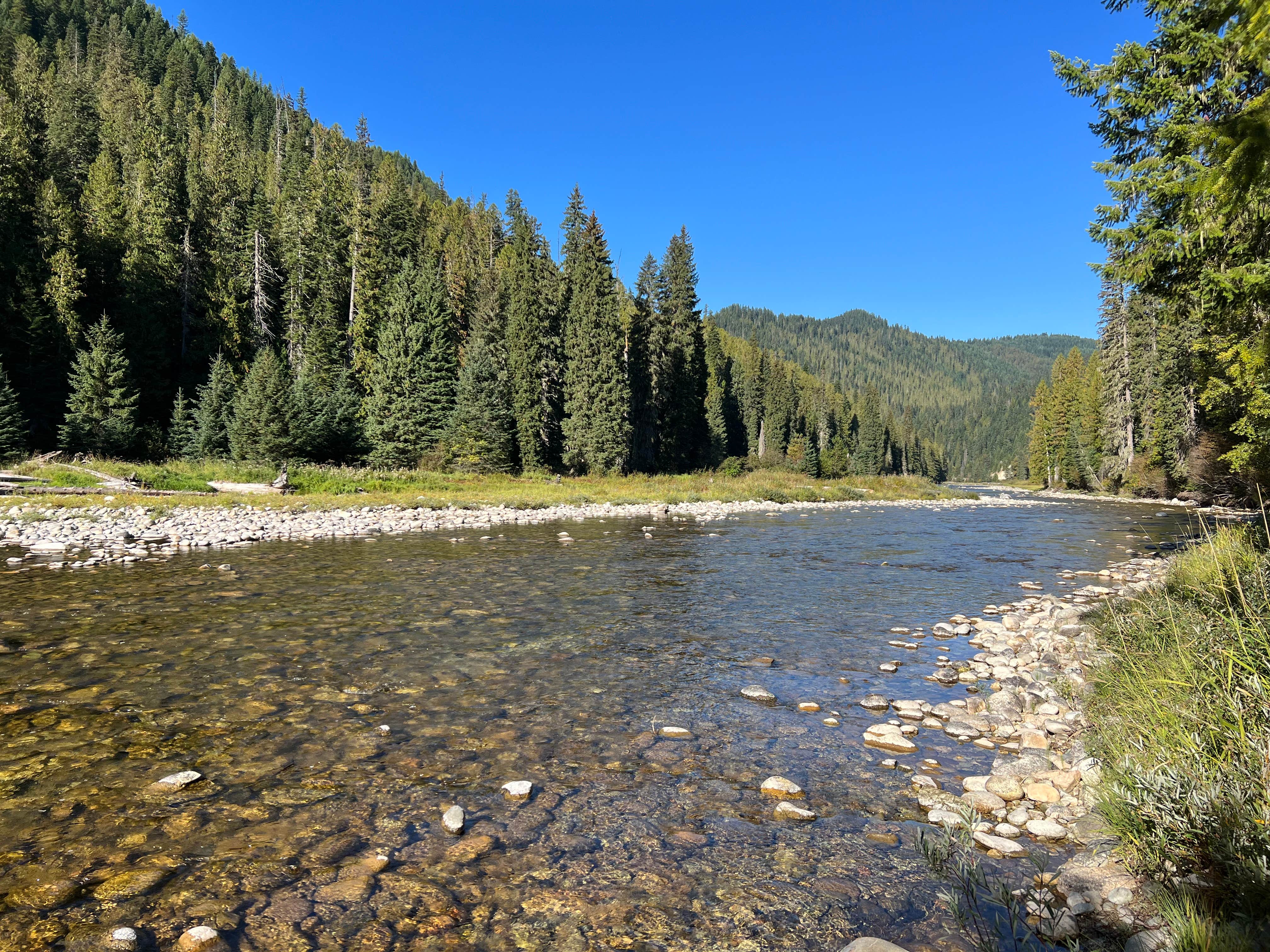 Camper submitted image from Whitehouse Campground - 3