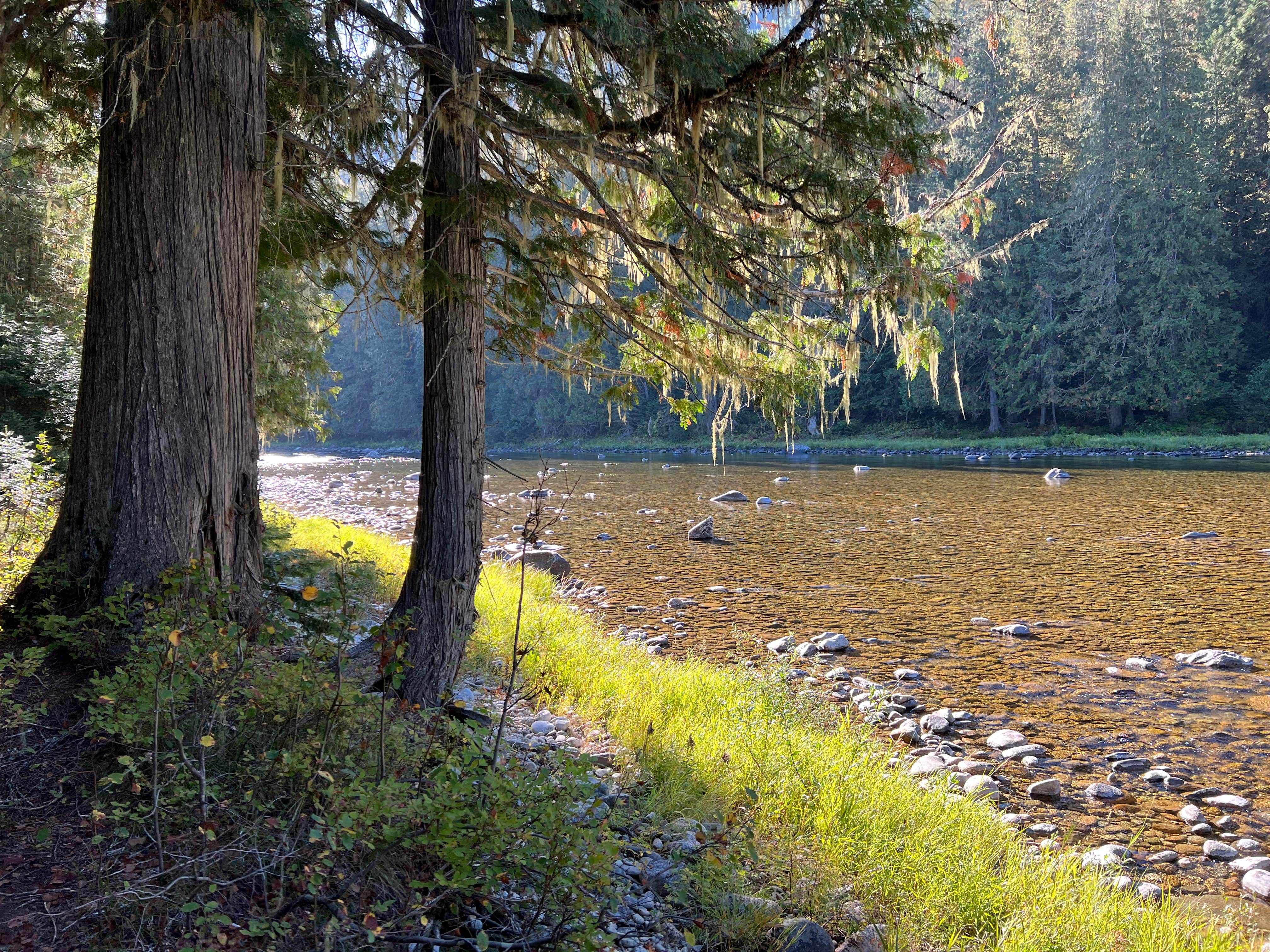 Camper submitted image from Whitehouse Campground - 5