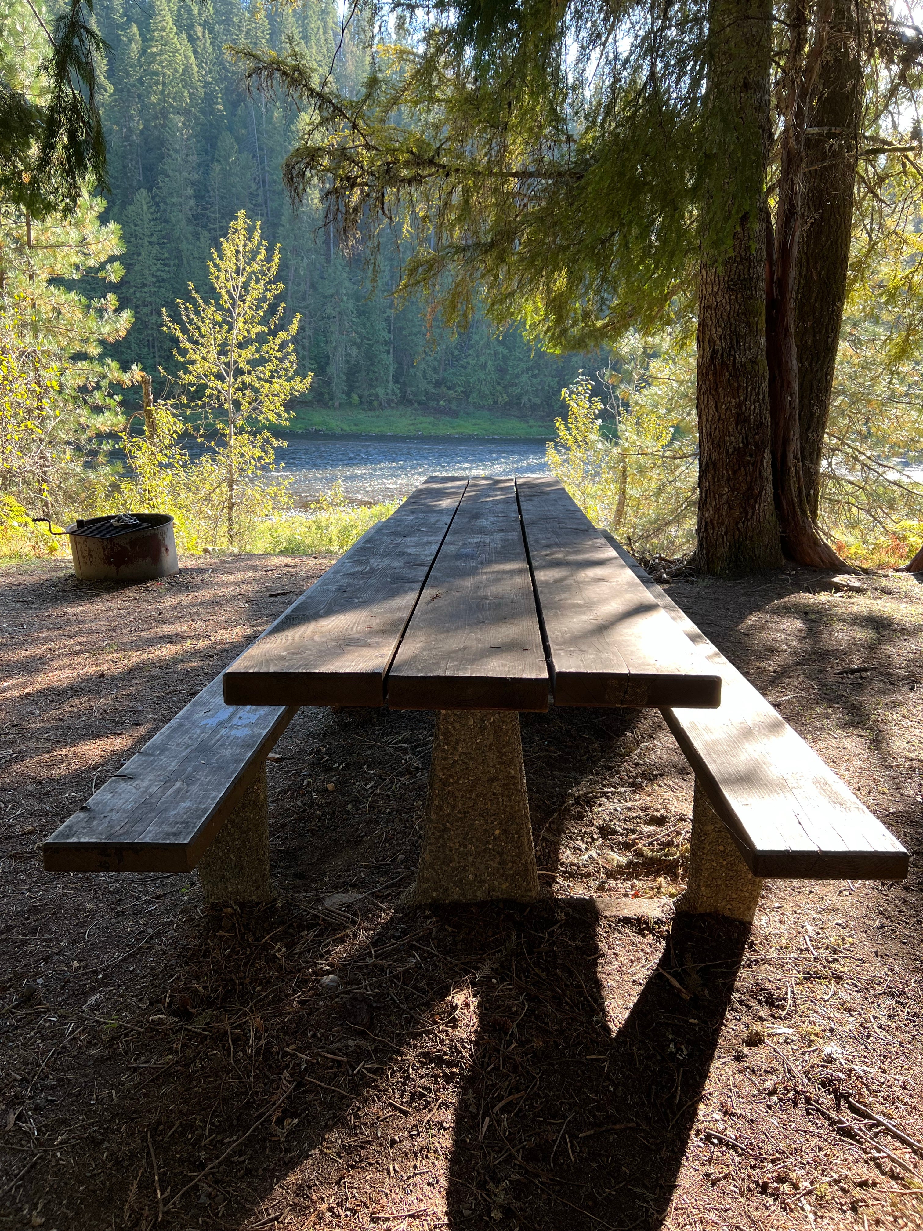 Camper submitted image from Wild Goose Campground - 5
